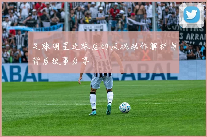 足球明星进球后的庆祝动作解析与背后故事分享