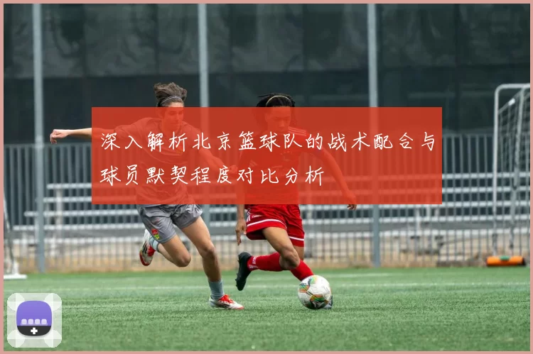 深入解析北京篮球队的战术配合与球员默契程度对比分析