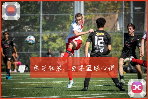 陈芳独家：分享篮球心得
