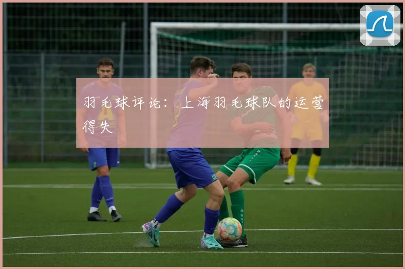 羽毛球评论：上海羽毛球队的运营得失