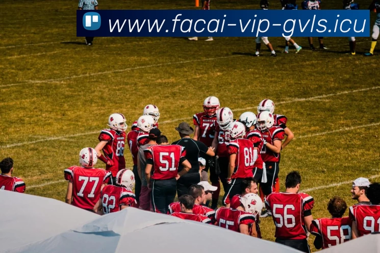 华体会体育全站App